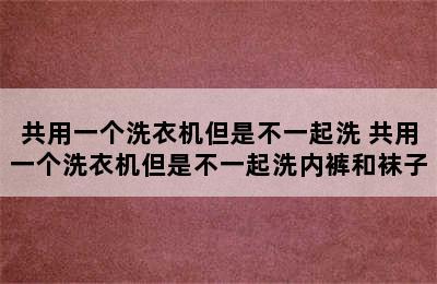 共用一个洗衣机但是不一起洗 共用一个洗衣机但是不一起洗内裤和袜子